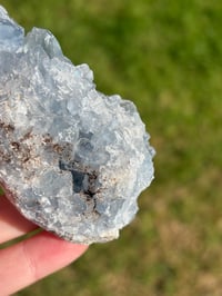 Image 7 of Celestite Cluster #1