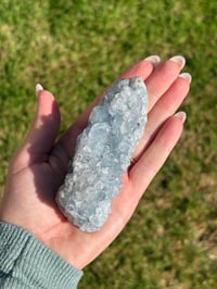 Image 9 of Celestite Cluster #1