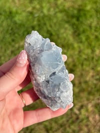 Image 1 of Celestite Cluster #2