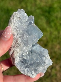 Image 2 of Celestite Cluster #2
