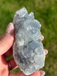 Image 3 of Celestite Cluster #2