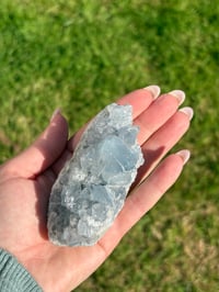 Image 8 of Celestite Cluster #2