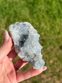 Image 1 of Celestite Cluster #3