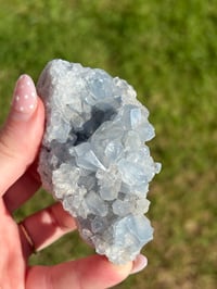 Image 4 of Celestite Cluster #3