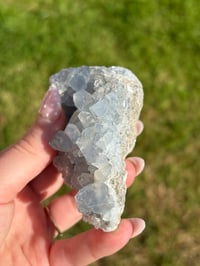 Image 5 of Celestite Cluster #3