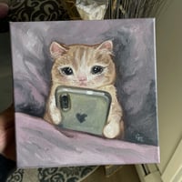 Image 2 of doomscrolling kitty 🤳