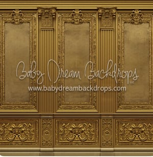 Image of 30-Minute Studio Portrait Session (Elegant Wall)