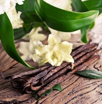 Image 4 of Sandalwood Vanilla Incense Sticks