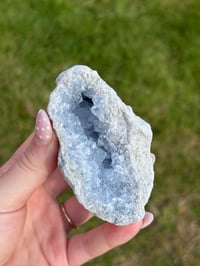 Image 1 of Celestite Cluster #4