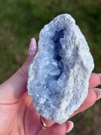 Image 5 of Celestite Cluster #4