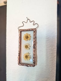 Image 3 of three flowers pressed botanical glass hanging
