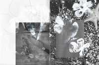 Image 2 of FIELD NOTE / Miyuki Akiyama