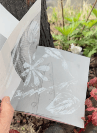 Image 4 of FIELD NOTE / Miyuki Akiyama