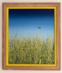 Image 1 of 'Come Fly With Me'  