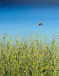 Image 2 of 'Come Fly With Me'  