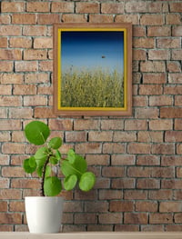 Image 3 of 'Come Fly With Me'  