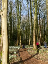 Image 2 of Summertime at Bank Hall Walk & Painting Workshop