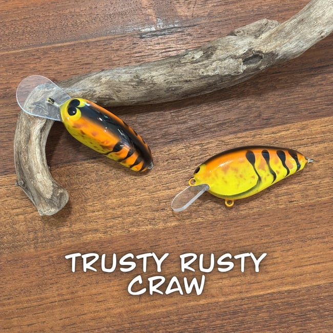 Baby EPIC Shad Combo Pack