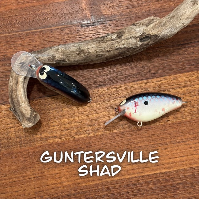 Baby EPIC Shad Combo Pack