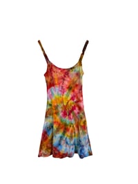 Dusty Cheeks Dress - Small