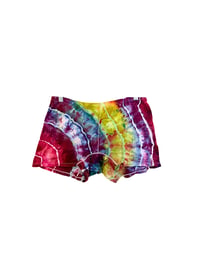 Full Moon Boogie Brief Shorts - X Large