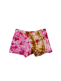Desert Princess Brief Shorts - X Large
