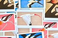 Image 2 of Giclee Prints of the Birds of North America Linoprints