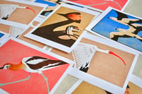 Image 1 of Giclee Prints of the Birds of North America Linoprints