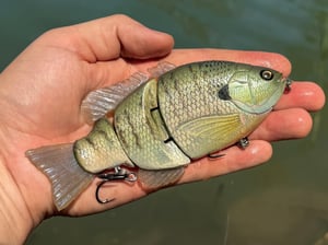 Image of 6” Ann 3 Piece (Juvie Gill)
