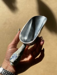 Image 2 of Beachcomber's Scoop