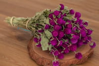 Image 2 of Globe Amaranth BUNCH - Darker Purple