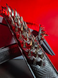 Image 2 of FLESHGRATER - "Black Mamba"
