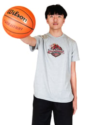 Image 1 of Grey Red Dragons T-shirt 