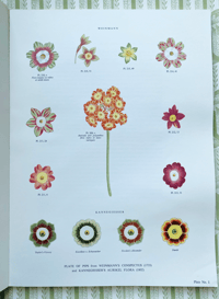 Image 4 of The Auricula Ariel Press 1964