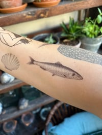 Image 3 of Tatouages éphémères