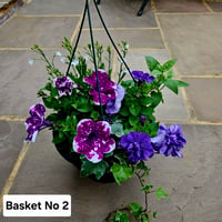 Hanging Basket No 2
