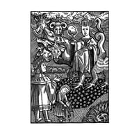Image 2 of Mostly Durer