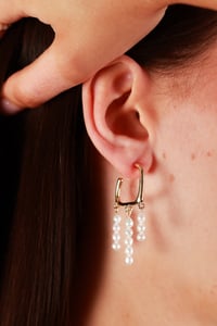 Earrings No.411