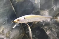 Image 1 of SPEEDBAITS Custom Airbrushed TA 110 Jerkbait SUSPEND 4007