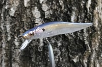 Image 7 of SPEEDBAITS Custom Airbrushed TA 110 Jerkbait SUSPEND 4007