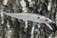 Image 8 of SPEEDBAITS Custom Airbrushed TA 110 Jerkbait SUSPEND 4007