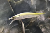 Image 1 of SPEEDBAITS Custom Airbrushed TA 110 Jerkbait SUSPEND 4019