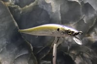 Image 2 of SPEEDBAITS Custom Airbrushed TA 110 Jerkbait SUSPEND 4019
