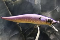 Image 3 of SPEEDBAITS Custom Airbrushed TA 110 Jerkbait SUSPEND 4040