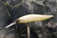 Image 1 of Custom Airbrushed Jerkbait TA 110+ 4061