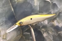 Image 1 of Custom Airbrushed Jerkbait TA 110+ 4064