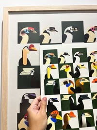 Image 3 of Hornbills - Forest Farmers of Southeast Asia large print (A3)
