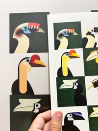 Image 4 of Hornbills - Forest Farmers of Southeast Asia large print (A3)