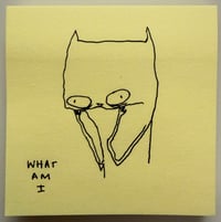 What am I 