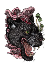Image 3 of Fungi Vol. 8 Pre-Order